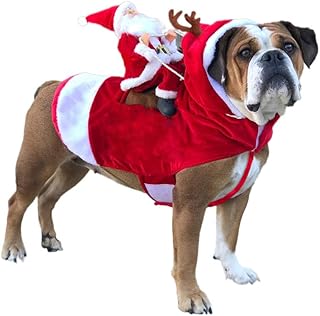 Christmas outfits for dogs amazon Clearance