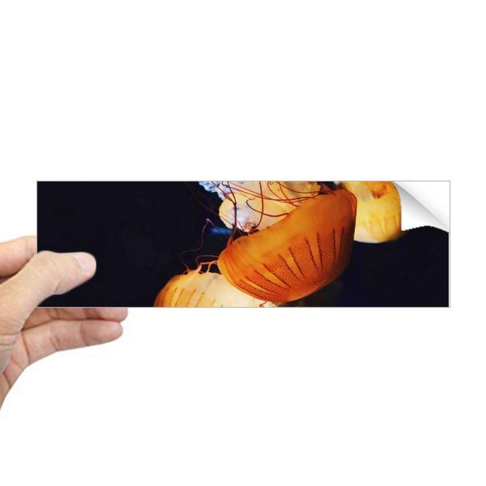 Sticker rectangulaire méduse pour masquer vis-à-vis fenêtre