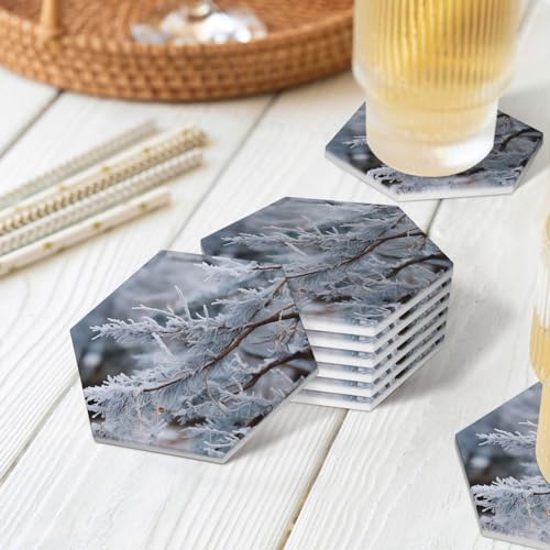 Dessous de verre pierre céramique absorbant avec support métal pour protection table salon - 8