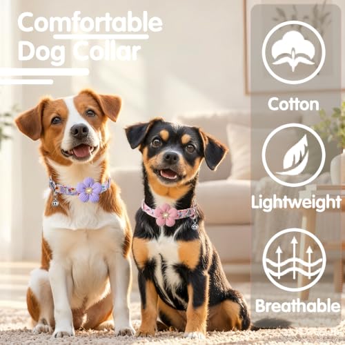 Small Dog Collar with Bell, Puppy Collar, Pink Dog Collars for Small Dogs | Girl Dog Collar for Female with flower, Floral Fall Dog Collar, Cute Soft Dog Collar Para Perros for Walks Outdoor Hikes - image 5