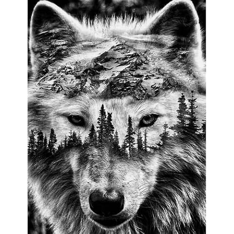 BOHADIY Diamond Painting Kits for Adults Kids Wolf 5D Diamond Art Kits for Adults Kids Beginner, Paintings with Diamonds Gem Art and Crafts for Home Wall Decor 15.8x11.8 Inch Cover