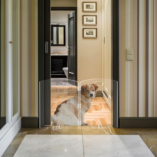 Clear Freestanding Dog Gate for Indoor Use Pet Gates for Doorways no Drilling Acrylic Foldable Dog Gate for Stairs with Support Feet (2 Panel - 40W x 23H)