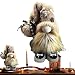 yupeuooe Gnomos Decorativos Hogar Peluche Suave Imagen de yupeuooe Gnomos Decorativos Hogar Peluche Suave