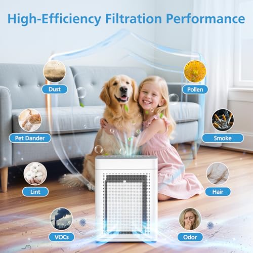 Image of 2 Pack K2 Replacement Filter Compatible with LUNINO K2 &TER Air MK-AP01 Air Purifier, 3-Stage Double-sided HEPA Filters & 2 Washable Carbon Pre-filters