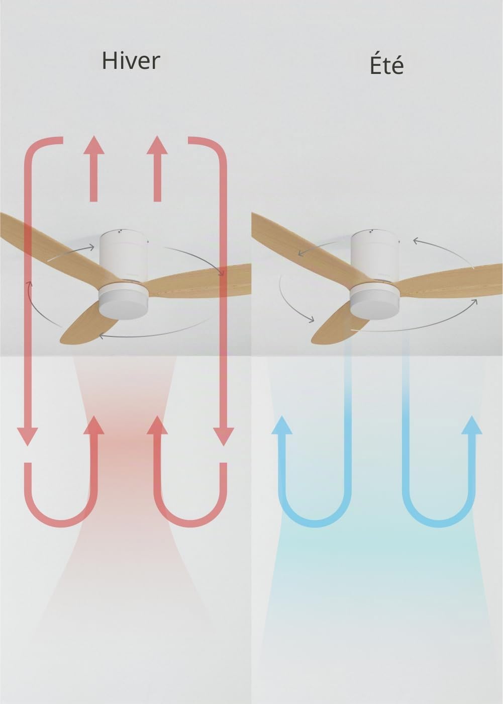 CREATE / WIND LITE/Ventilateur de plafond avec lumière en bois clair avec télécommande / 40W, Silencieux, Ø132 cm, 6 vitesses, programmable, fonction été-hiver, lumière LED 3 températures