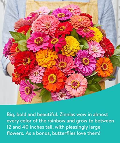 Burpee Cutting 50,000 Bulk, Multi, 1 Bag | 15 Varieties Of Non-Gmo Flower Perennial Wildflower Seeds Pollinator Mix | Covers 1,000 Sq. Ft, Multicolor #TOP2