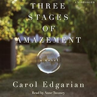 Three Stages of Amazement Audiolibro Por Carol Edgarian arte de portada