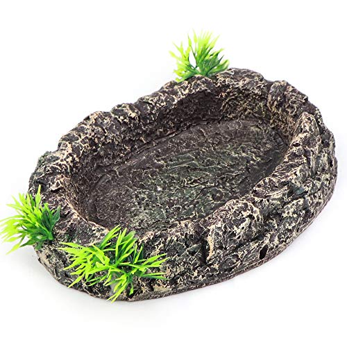 AQUA KT Amphibian Reptile Snake Worm Dish Water Food Bowl for Lizard Turtle Bearded Dragon Tank Accessory Terrarium…