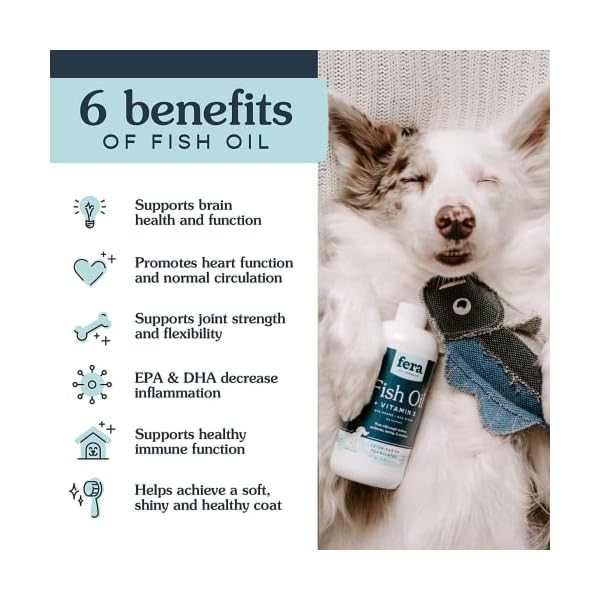 Fera Pets Fish Oil with Vitamin E, Cat and Dog Vitamin for Improved Pet Wellbeing, Joint Health Supplement with Fish Oils, Omega Fatty Acid Supplement, 8 oz. (236.5 mL) Fera Pets Fish Oil with Vitamin E, Cat and Dog Vitamin for Improved Pet Wellbeing, Joint Health Supplement with Fish Oils, Omega Fatty Acid Supplement, 8 oz. (236.5 mL)