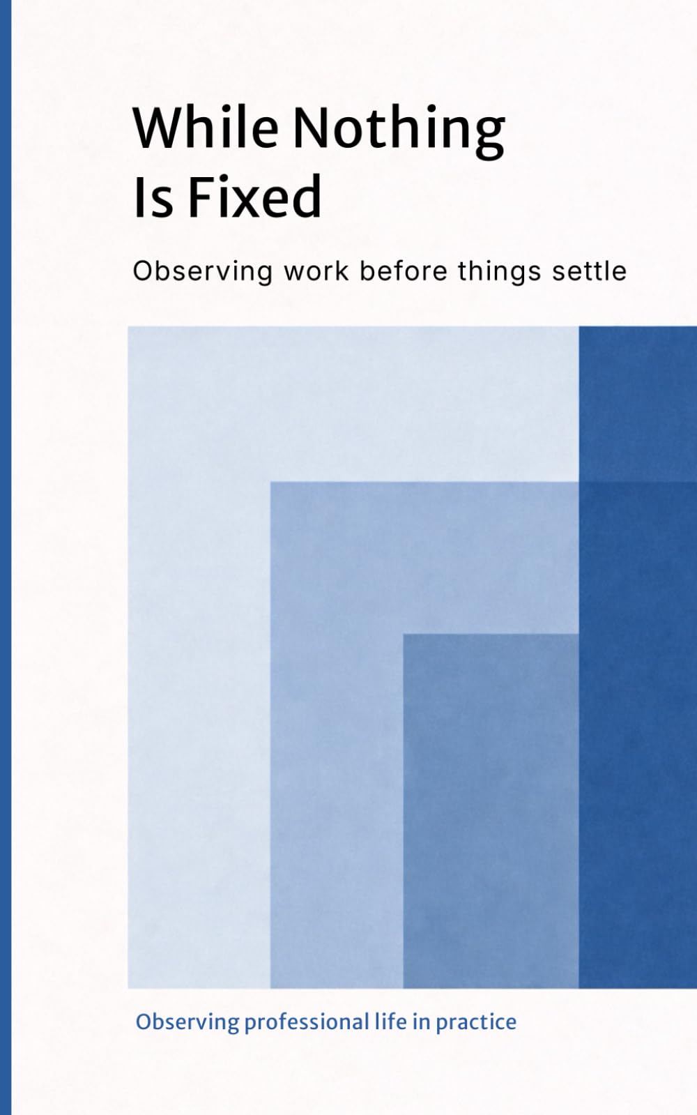 While Nothing Is Fixed (Observing professional life in practice)