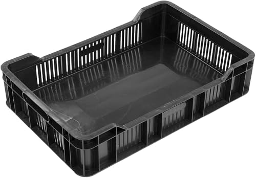 Berry Tray