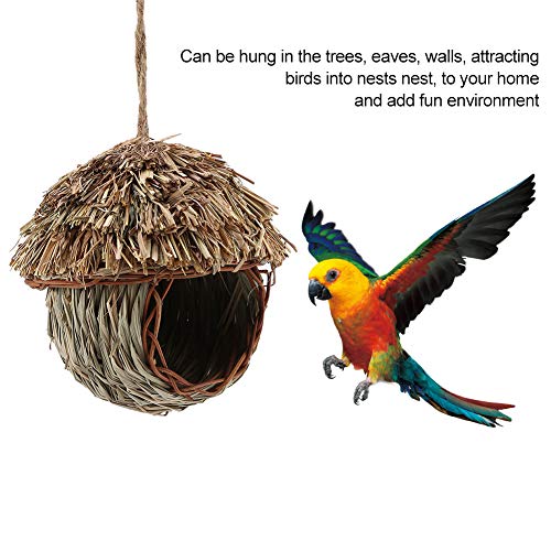 Weiyiroty Nido d'uccello Appeso in Paglia, casetta...