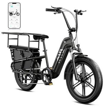 electric bike with cargo carrier