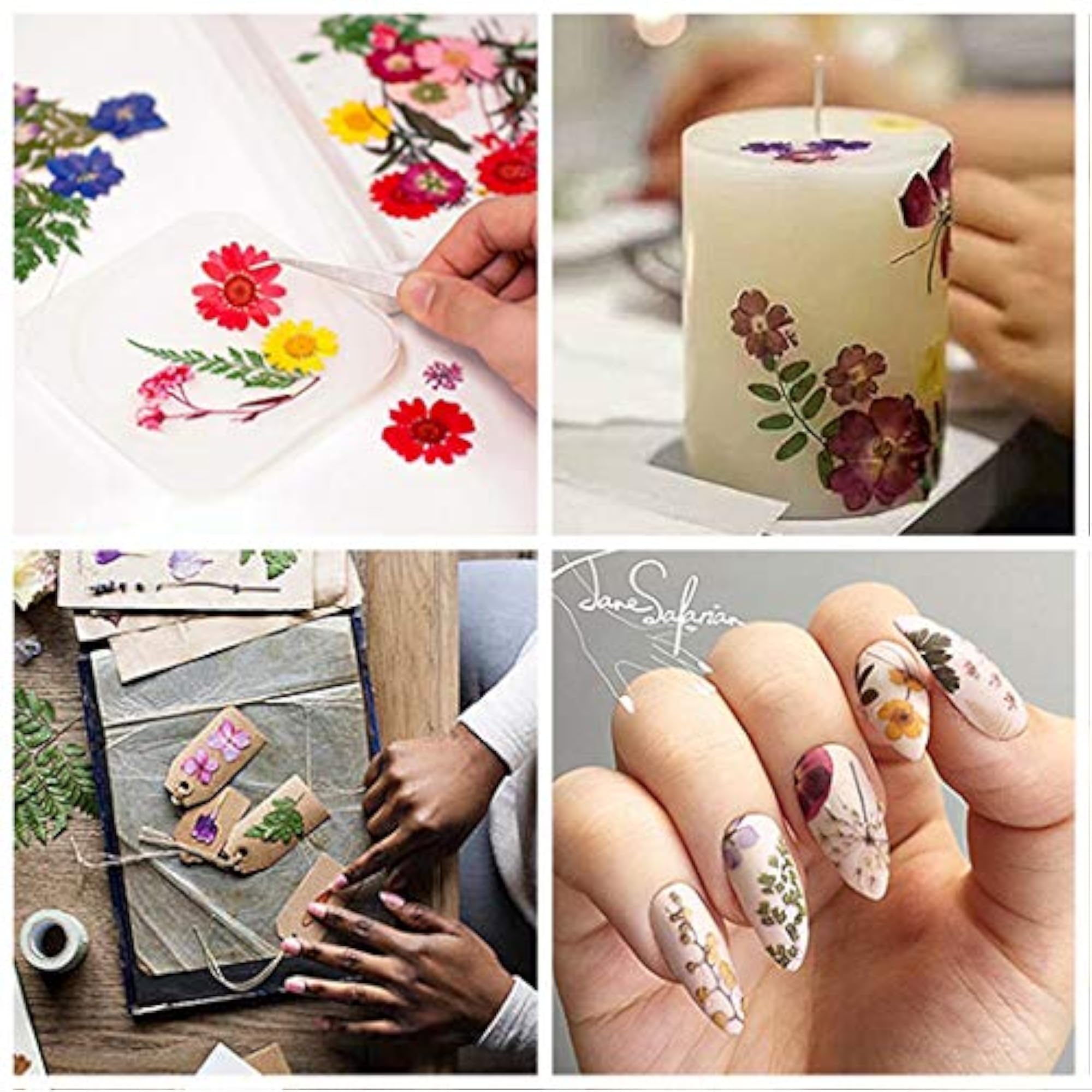 DIY Dried Flowers for Creative Crafts and Bookmarks