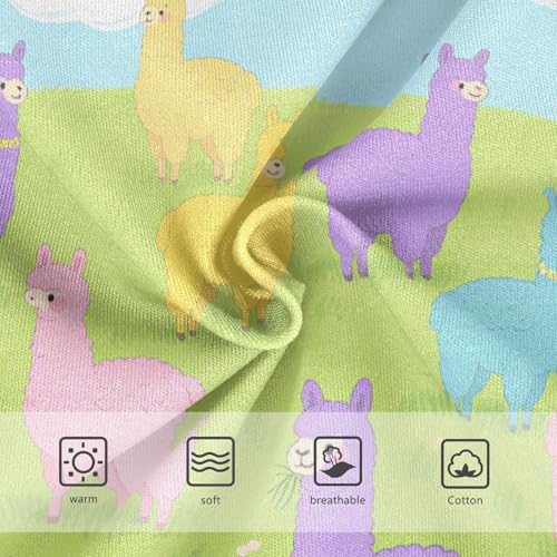 Organic Cotton Panties Stretchy Triangle Panties Comfort Underwear for Kids in Sizes 2T,3T, 4T, 5T, 6Y and 8Y3