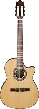【外観美品・ジャンク】アイバニーズ　GA-30TCE/NT エレガットギター Amazon | GA30TCE NT アイバニーズ エレガット ナイロン