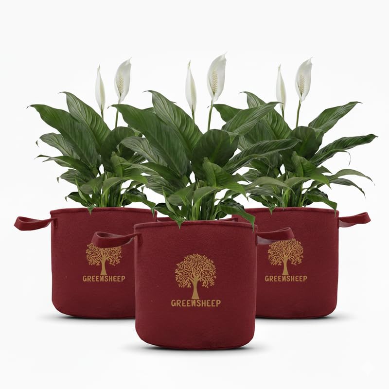 Image of GREENSHEEP Geo Fabric Grow Bags for Terrace Gardening, Balcony, Vegetables, Plants, Fruits and Flower with Handles - Breathable and Reusable Plant Bags for Indoor (Red) (Pack of 3) (Size-8x8)