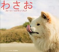 Wasao sutoÌ„riÌ„ pikuchaÌ„ bukku 4620200298 Book Cover