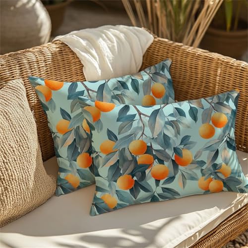 �N�b�V�����J�o�[�e�B�[�� 40x80 cm �h�� �x���x�b�g �A�E�g�h�A �N�b�V���� �����` 2�� ���ʃv�����g���J�o�[ �B���t�@�X�i�[�t���C�����Ė��ƃ\�t�@�w���Ė��A�������A�������A���z�c�ɂ��K�p �C���e���A���O����i�t�j1B-749