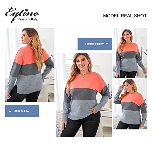 Eytino Womens Plus Size Sweatshirt Casual Round Neck Long Sleeve Striped Colorblock Pullover Shirts,3X Gray #TOP2