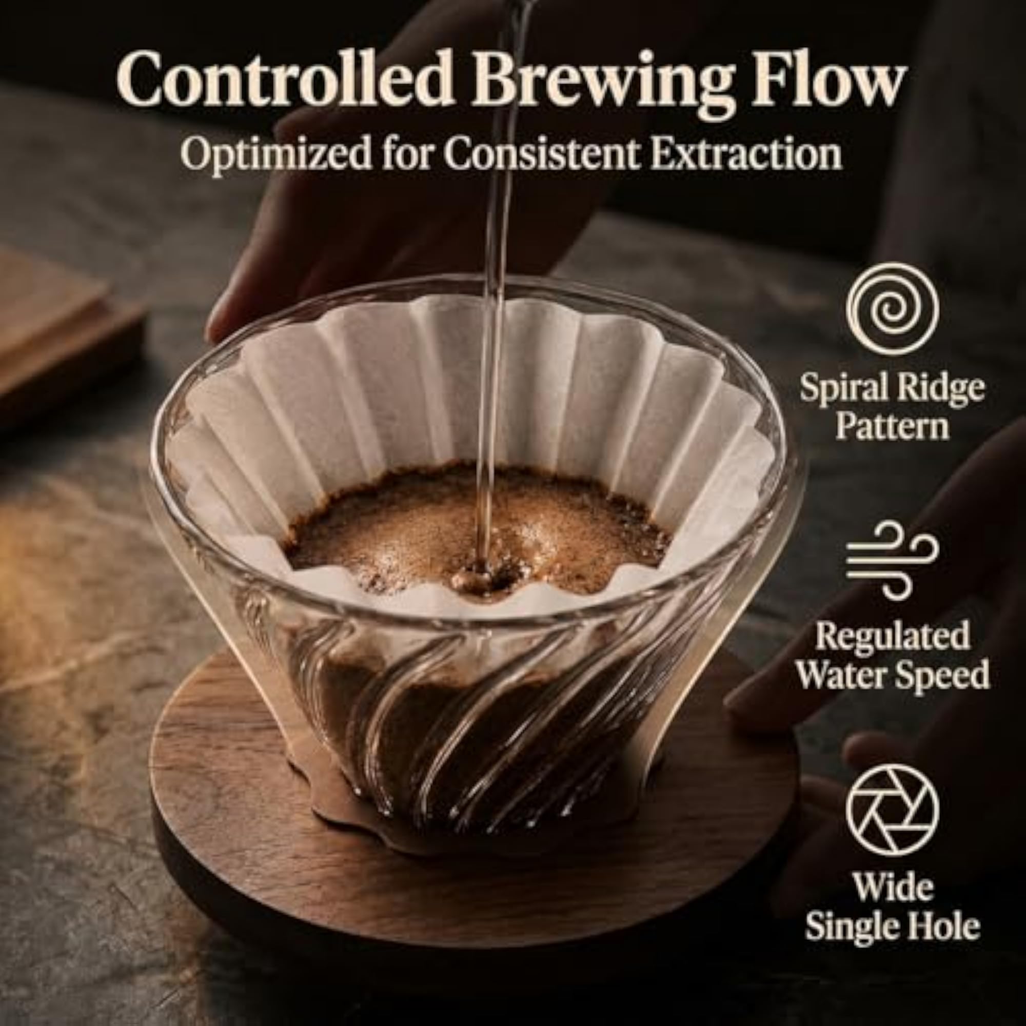 V60 Coffee Dripper for 1-2 Cups with Walnut Base