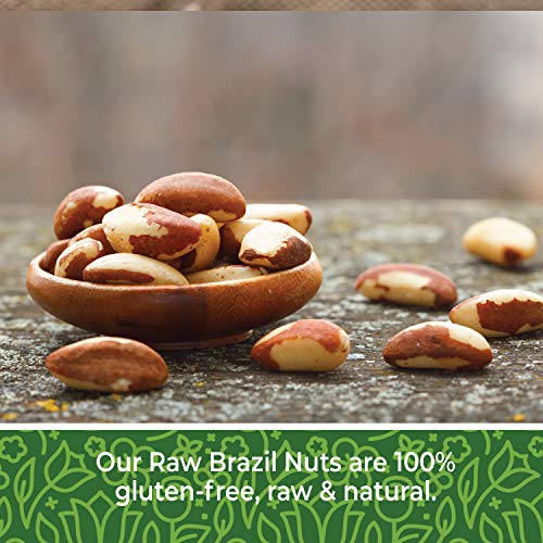 Brazil Nuts Raw, 2lb. Brazilian Nuts, Raw Brazil Nuts Unsalted, Shelled Brazil Nuts Whole, Fresh Brazil Nuts Brazilian, All Natural, Non-GMO, Vegan. Whole and Shelled, Raw Unsalted Brazil Nuts 32 oz.