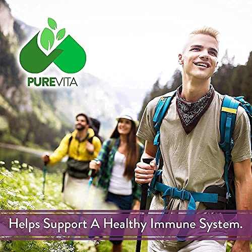 Elderberry With Zinc And Vitamin C For Adults - Proprietary 5 In 1 Blend With Turmeric And Echinacea - Daily Antioxidant And Immune Support Supplement #TOP3