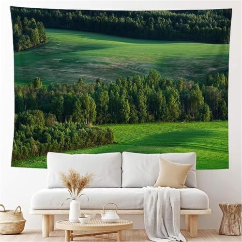 Tenture murale paysage pour cacher un mur blanc 300x220 cm