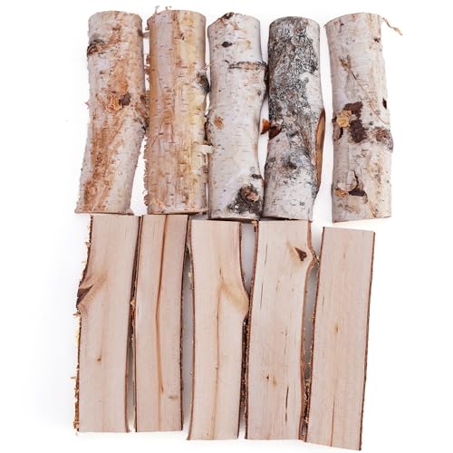 BYHER Natural Birch Wood Logs for Crafts, 10Pcs 4.7 Inch