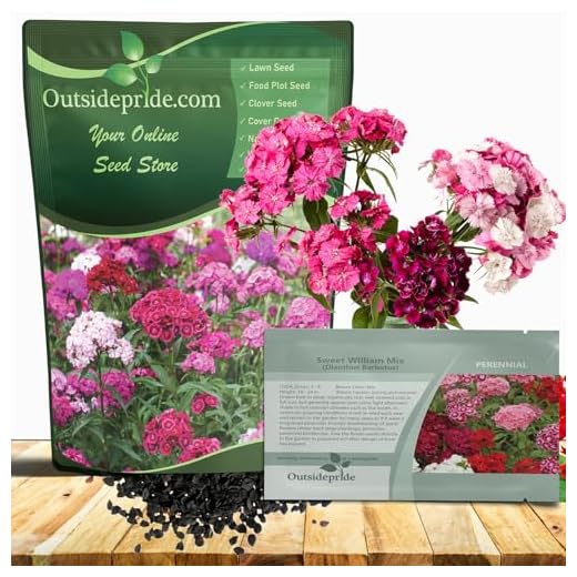 Best garden flowers for winter Sweet William Wildflower Seeds Mix - 5 lbs