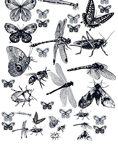 XpressionDecals Winged Insects - 3 Different Size Sheet Ceramic & Glass Decals