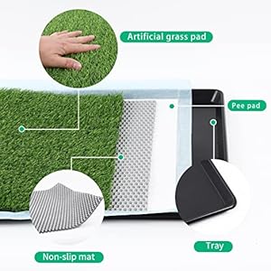 Dog Grass Pad with Tray Arificial Grass Patch for Dogs Potty Tray Fake Grass for Dogs to Pee on Turf with Tray for Litter Box Puppy Potty Training Collect Pet Pee Outdoor and Indoor Use  Cucciolini Doodles Dog grass pad with tray arificial grass patch for dogs potty tray fake grass for dogs to pee on turf with tray for litter box puppy potty training collect pet pee outdoor and indoor use   cucciolini doodles
