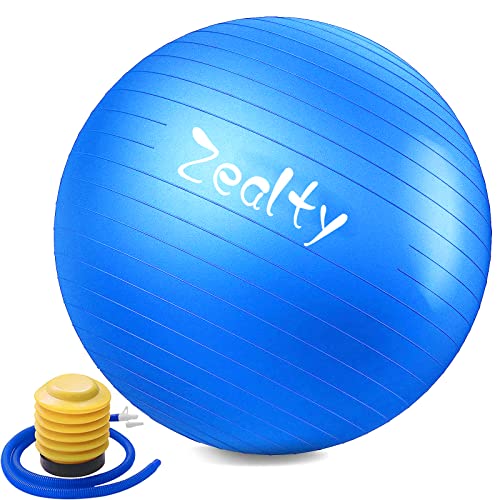 Yoga Ball Exercise Ball – Anti-Slip and Anti-Burst Workout Ball, Birthing Ball Fitness Ball with Quick Pump, Balance Ball Chair for Stability, Pregnancy and Physical Therapy