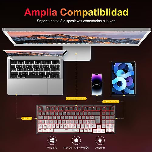 Teclados De Computadora, Personal Computer Imagen adicional