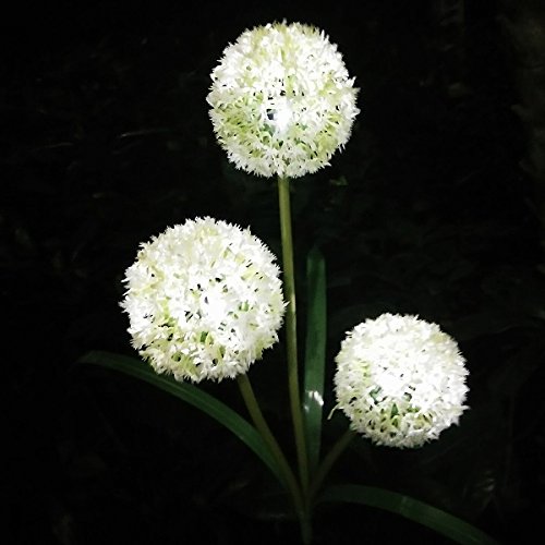 Solar Powered Dandelion Solar LED Lights Outdoor Waterproof LED Lamps for Garden Backyard Lawn Landscape Decoration Illumination (White)