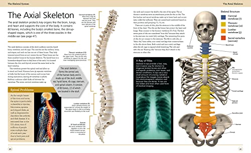 Illustrated Human Anatomy: The Authoritative Visual Guide To The Human Body #TOP5