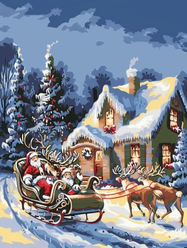 Loisirs créatifs adultes de Noël à offrir en kit complet 50x65cm