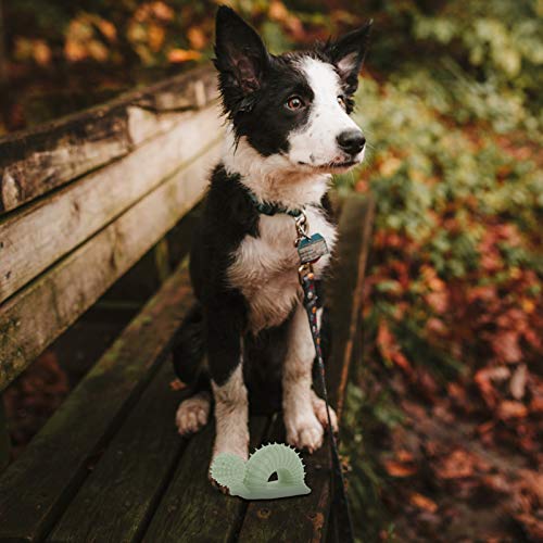 UKCOCO Brinquedos para Mastigar Cachorros Em Forma de Caracol Cachorro Escova de Dentes Brinquedos B
