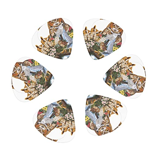 Pack de 12 médiators Hibou pour guitare électrique Guitare acoustique Diverses guitares - Les Beatles, Paul McCartney, John Lennon, RIngo Starr, George Harrison Pack de 12 médiators Hibou pour guitare électrique Guitare acoustique Diverses guitares