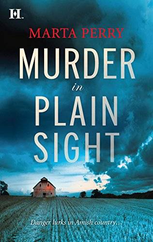 Murder in Plain Sight view 2