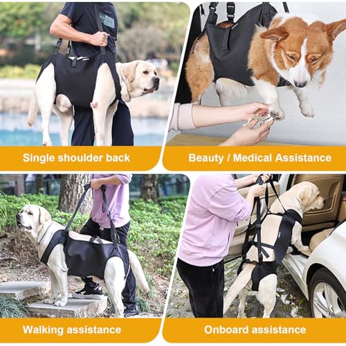 Hundeliftgeschirr, Haustierunterstützung Hund Lift Support für Hunde, Rehabilitation Geschirr Mobilität Sling für Alt, Gelenkverletzungen, Arthritis, Stabilitätsverlust Hunde, Schwarz (M)