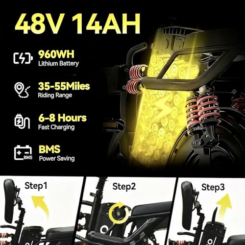 Folding Electric Bike 800W