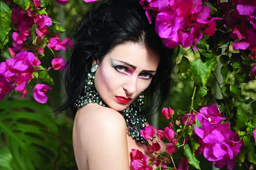 Siouxsie And The Banshees