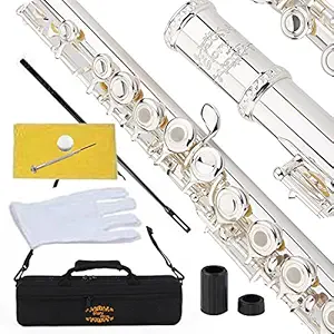 A Comprehensive Guide to Buying a Flute: Types, Features, Prices, and Tips
