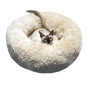 BODISEINT Modern Soft Plush Round Pet Bed for Cats or Small Dogs, Mini Medium Sized Dog Cat Bed Self Warming Autumn Winter Indoor Snooze Sleeping Cozy Kitty Teddy Kennel (24” D x 8” H, Champagne)