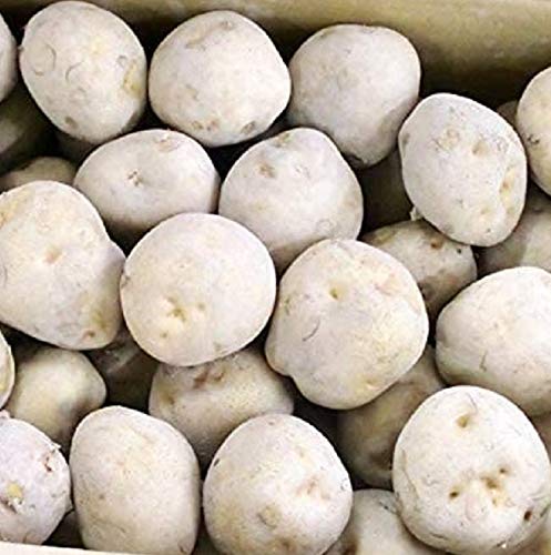 北海道蔵本舗 じゃがいも 北あかり 北海道 きたあかり 北海道産 黄色い 栗じゃが いも類 野菜