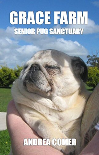 grace pug puppy farm