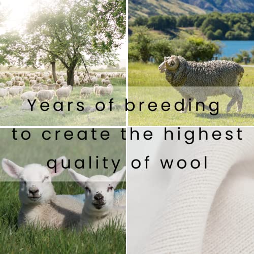 Merino Wool Beanie (White) 100% Superfine Premium Australian Merino Wool Halcyon Hiker Warm To 14 F. #TOP4