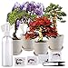 Produktbild Royal Gardineer Bonsai Set: Bonsai-Anzuchtset, 4 Arten, Töpfe, Untersetzer, Clipper, Sprühflasche (Pflanzen Anzuchtset)