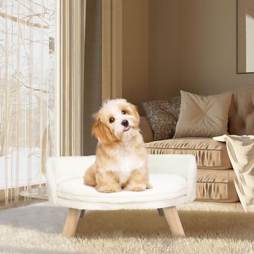 BingoPaw Hundesofa Hundecouch für kleine Hunde, erhöhtes Haustiersofa Hundebett mit Plüsch Hundekissen, katzensofa große Katzen, 61.5×32.8cm weiß